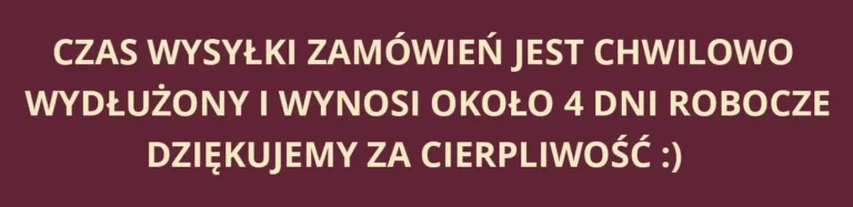 baner sny